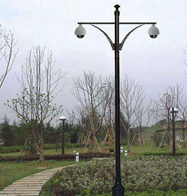 0.5米雙懸臂(bì)圓柱監控杆